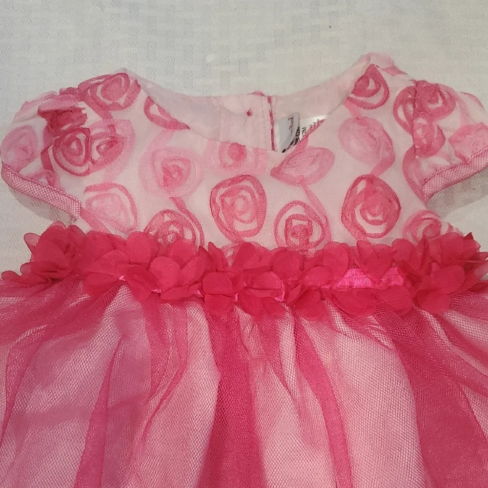 Sweet Heart Rose Pink Floral Tulle Party Dress Size 12M